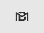 BM Global company logo