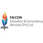 Falcon Education & Consultancy Services Pvt Ltd. company logo