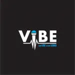 Edu Vibe company logo