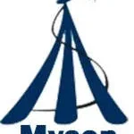 Myson Engineering Systems (Pvt.) Ltd. company logo