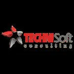 TechnisoftConsulting(Inc) company logo