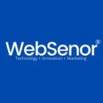 WebSenor company logo
