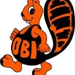 OBOR Development Company Private Limited company logo