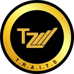 TechTiz company logo