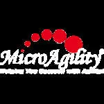 MicroAgility - ASIA & PACIFIC company logo