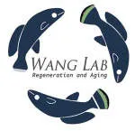 Wrap Lab company logo