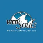 Websouls company icon