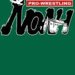 Noah Pro Max company icon