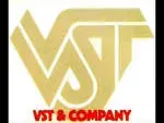 VST company icon