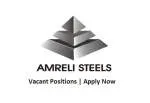 AMRELI STEELS LIMITED company icon