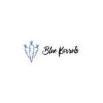 BlueKarrots company icon