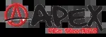 ApexID company icon