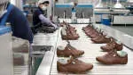 Shoe Manufacturing – Located at Sunder Industrial… company icon